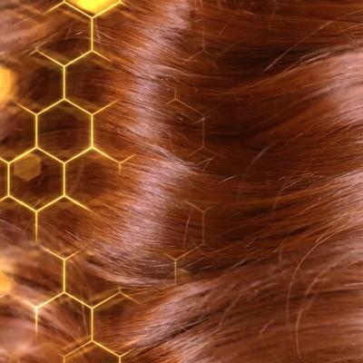 Garnier Botanic Therapy Honey &amp; Beeswax Шампоан за жени 250 ml