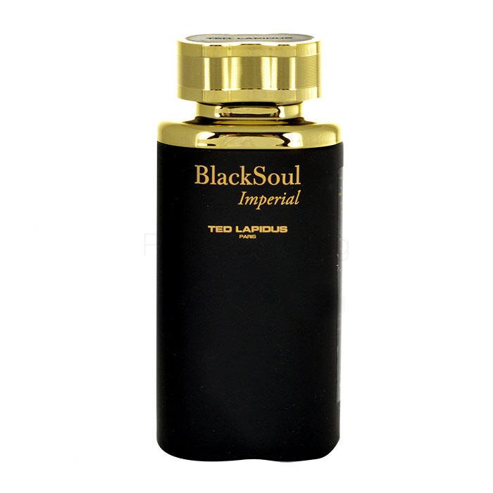 Ted Lapidus Black Soul Imperial Eau de Toilette за мъже 100 ml ТЕСТЕР