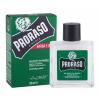 PRORASO Eucalyptus Beard Balm Балсам за брада за мъже 100 ml