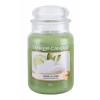 Yankee Candle Vanilla Lime Ароматна свещ 623 g