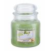 Yankee Candle Vanilla Lime Ароматна свещ 411 g