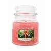 Yankee Candle The Last Paradise Ароматна свещ 411 гр