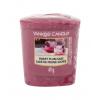 Yankee Candle Sweet Plum Sake Ароматна свещ 49 g