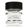 BMW The Scent of Bergamood Eau de Parfum 100 ml ТЕСТЕР