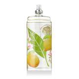Elizabeth Arden Green Tea Citron Freesia Eau de Toilette за жени 100 ml ТЕСТЕР
