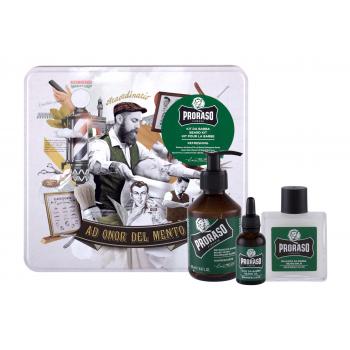 PRORASO Eucalyptus Beard Wash