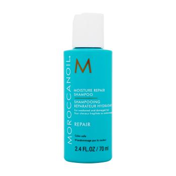 Moroccanoil Repair
