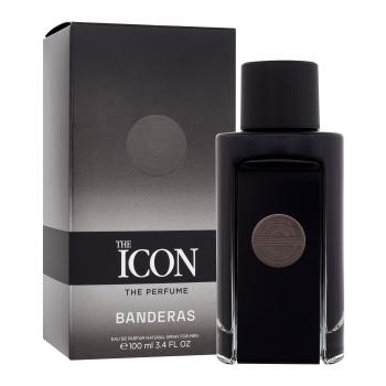 Banderas The Icon