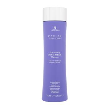 Alterna Caviar Anti-Aging Restructuring Bond Repair