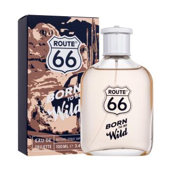 Route 66 Born To Be Wild