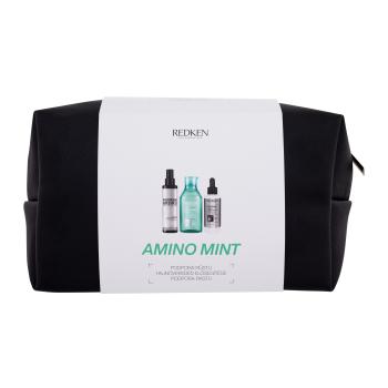 Redken Amino-Mint Shampoo