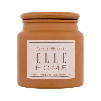 Elle Home Almond Blossom