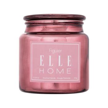 Elle Home Figuier