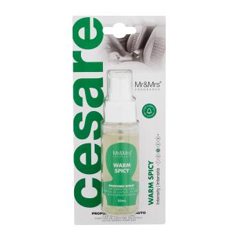 Mr&Mrs Fragrance Cesare Car Spray Perfume