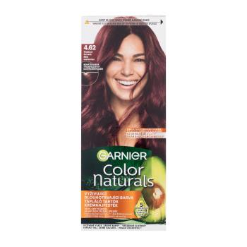 Garnier Color Naturals