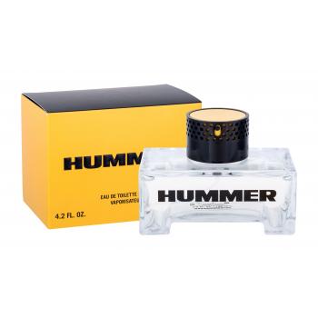 Hummer Hummer