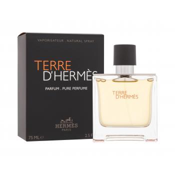 Hermes Terre d´Hermès