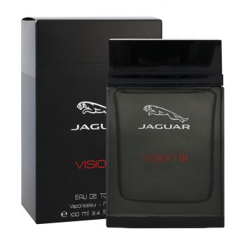 Jaguar Vision III