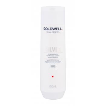 Goldwell Dualsenses Silver
