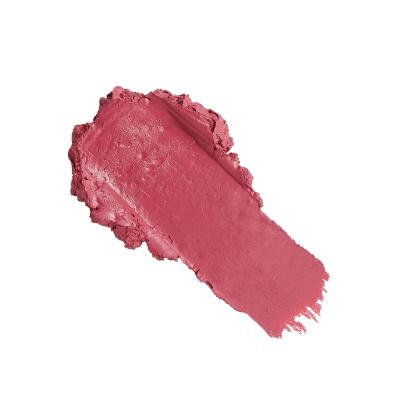 Revolution Pro New Neutral Satin Matte Lipstick Червило за жени 3,2 гр Нюанс Struck