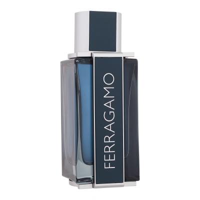 Ferragamo Ferragamo Intense Leather Eau de Parfum за мъже 100 ml