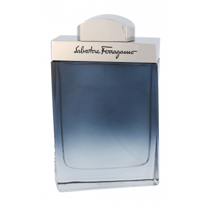 Ferragamo Subtil Pour Homme Eau de Toilette за мъже 100 ml