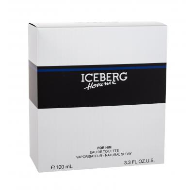 Iceberg Homme Eau de Toilette за мъже 100 ml