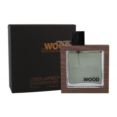 Dsquared2 He Wood Rocky Mountain Wood Eau de Toilette за мъже 100 ml