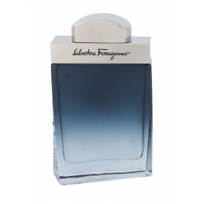 Ferragamo Subtil Pour Homme Eau de Toilette за мъже 50 ml