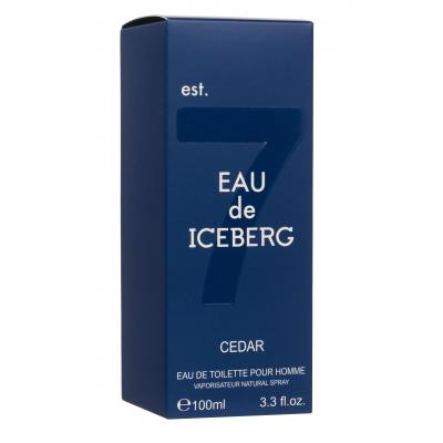 Iceberg Eau de Iceberg Cedar Eau de Toilette за мъже 100 ml