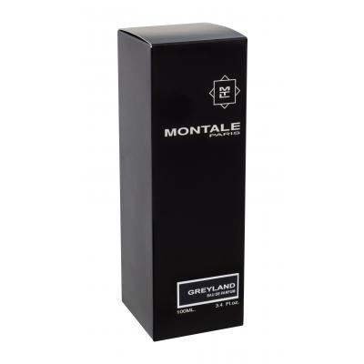 Montale Greyland Eau de Parfum 100 ml