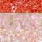 Makeup Revolution London Shimmer Bomb Trio Подаръчен комплект  блясък за устни Shimmer Bomb 2 ml + блясък за устни Shimmer Bomb 2 ml Sparkle + блясък за устни Shimmer Bomb 2 ml DayDream