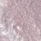 Revolution Relove Eye Light Metallic Eyeshadow Течни сенки за очи металик за жени 1,9 ml