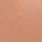 Wet n Wild CoverAll Coverstick Твърд покривен коректор за жени 5,2 g