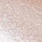 Makeup Revolution London Jewel Collection Блясък за устни с брокат за жени 4,5 ml