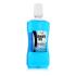 Zidac Laboratories Absolute Ice Coolmint Mouthwash Вода за уста 500 ml