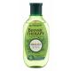 Garnier Botanic Therapy Green Tea Eucalyptus & Citrus Освежаващ шампоан за блясък на косата за жени 250 ml