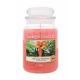 Yankee Candle The Last Paradise Ароматна свещ  623 g