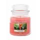 Yankee Candle The Last Paradise Ароматна свещ  411 g