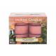 Yankee Candle The Last Paradise Ароматизирани чаени свещи 12 х 9,8 гр 117,6 g