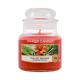 Yankee Candle The Last Paradise Ароматна свещ  104 g