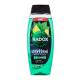Radox Refreshment Menthol And Citrus 3-in-1 Shower Gel Освежаващ душ гел за мъже 450 ml