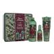 Tesori d´Oriente Forest Ritual Подаръчен комплект  EDP 100 ml + пяна за вана 500 ml + душ крем 250 ml + метална кутия