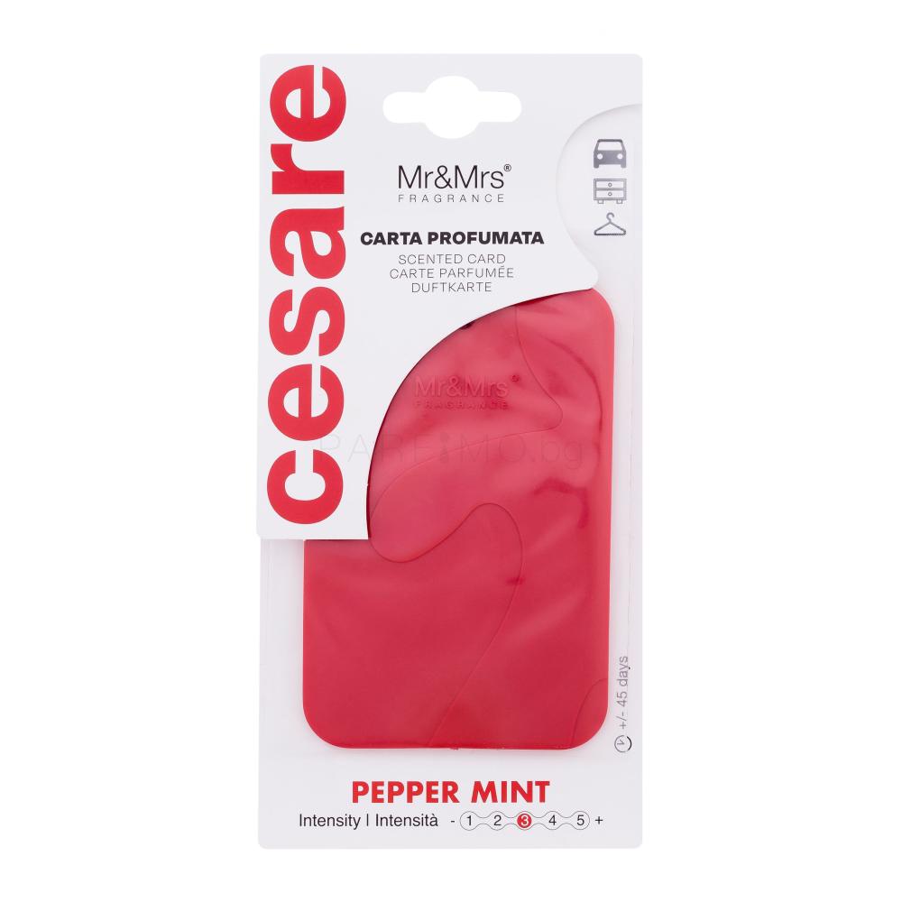 Mr&Mrs Fragrance Cesare Scented Card Pepper Mint Ароматизатор за автомобил 1 бр