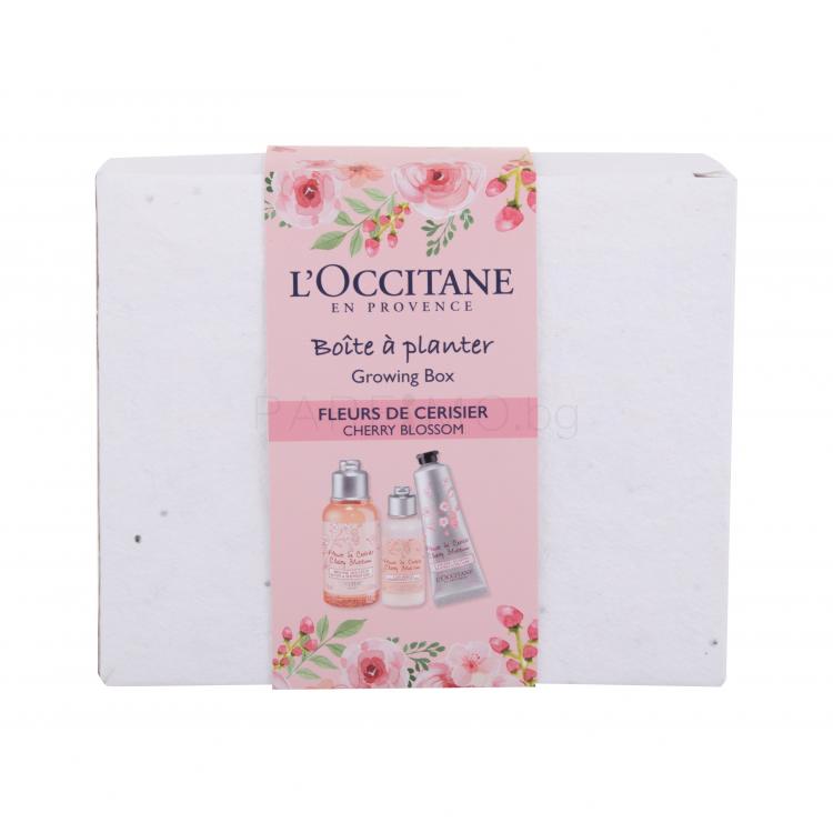 L&#039;Occitane Cherry Blossom Growing Box Подаръчен комплект душ гел Cherry Blossom Bath &amp; Shower Gel 75 ml + лосион за тяло Cherry Blossom Shimmering Lotion 35 ml + крем за ръце Cherry Blossom Hand Cream 30 ml