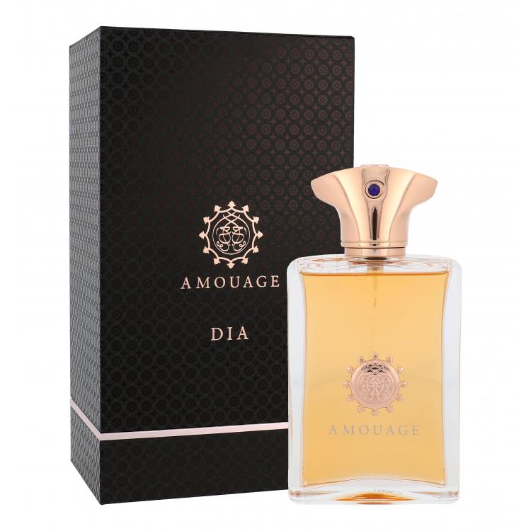 Amouage Dia pour Homme Eau de Parfum за мъже 100 ml