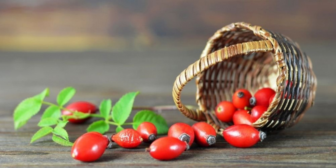 Шипка за коса